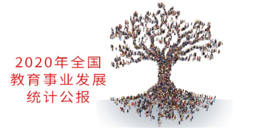 2020年全國教育事業發展統計公報