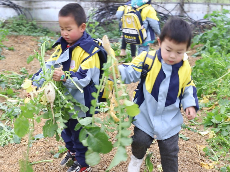 北湖區(qū)華嬰愛(ài)蕊幼兒園師生風(fēng)采